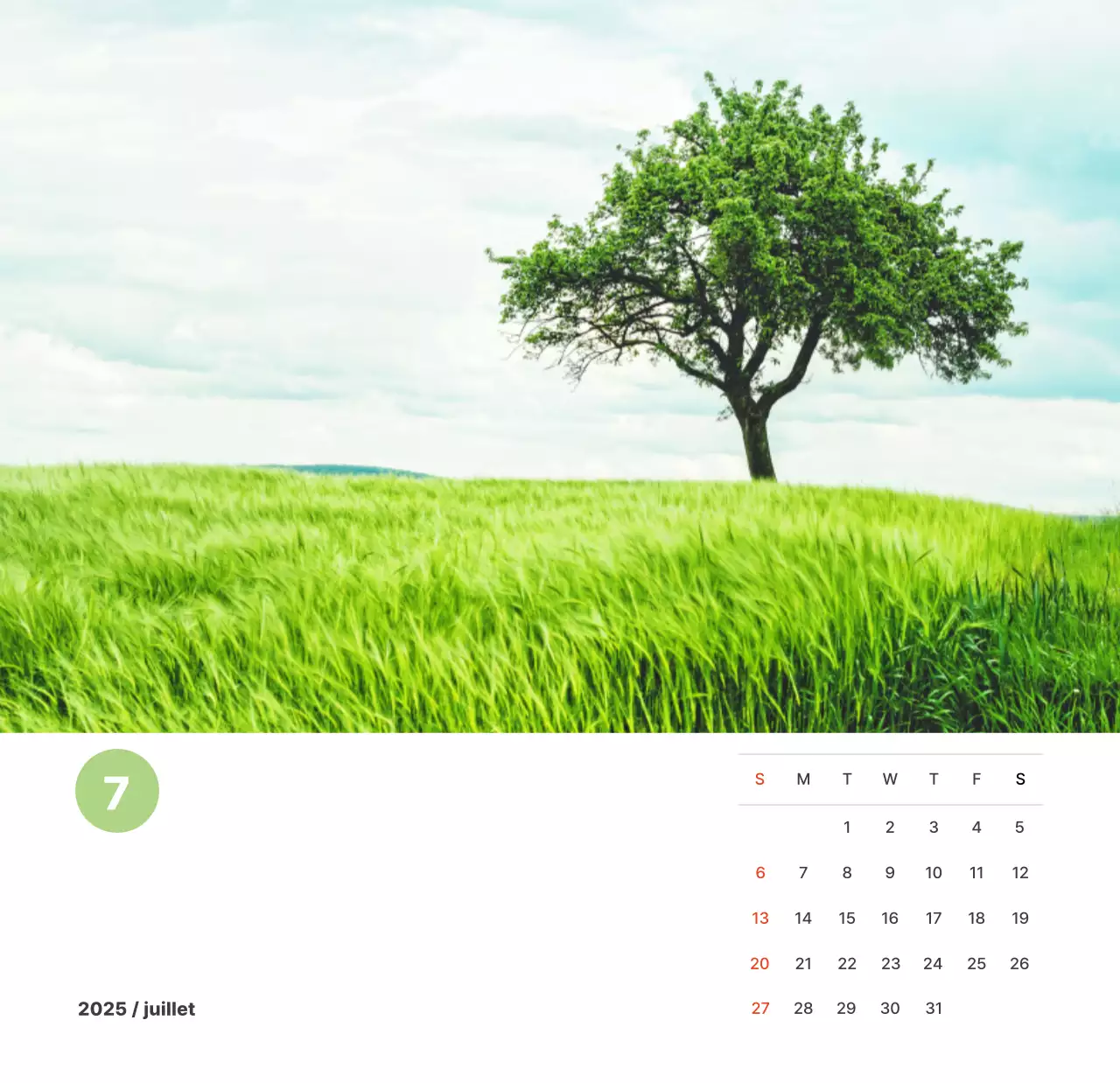 Photographie de paysages chaleureux aux couleurs pastel