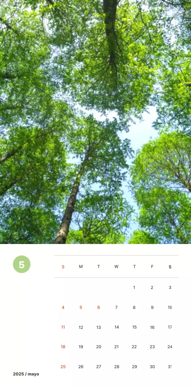 Fotografía de paisajes cálidos en colores pastel