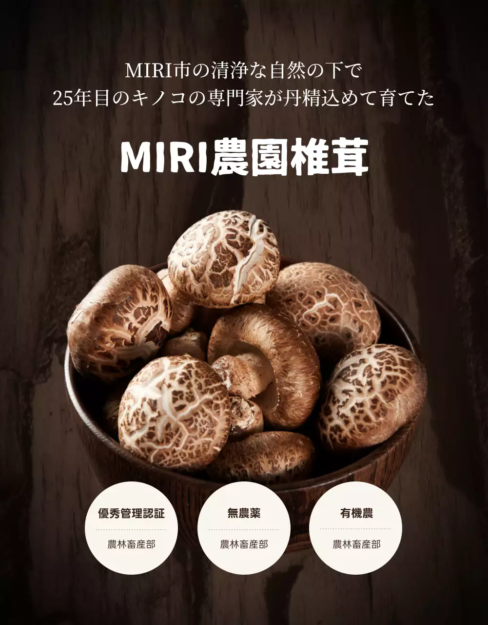 茶色 シンプル しいたけ パンフレット 詳細ページ