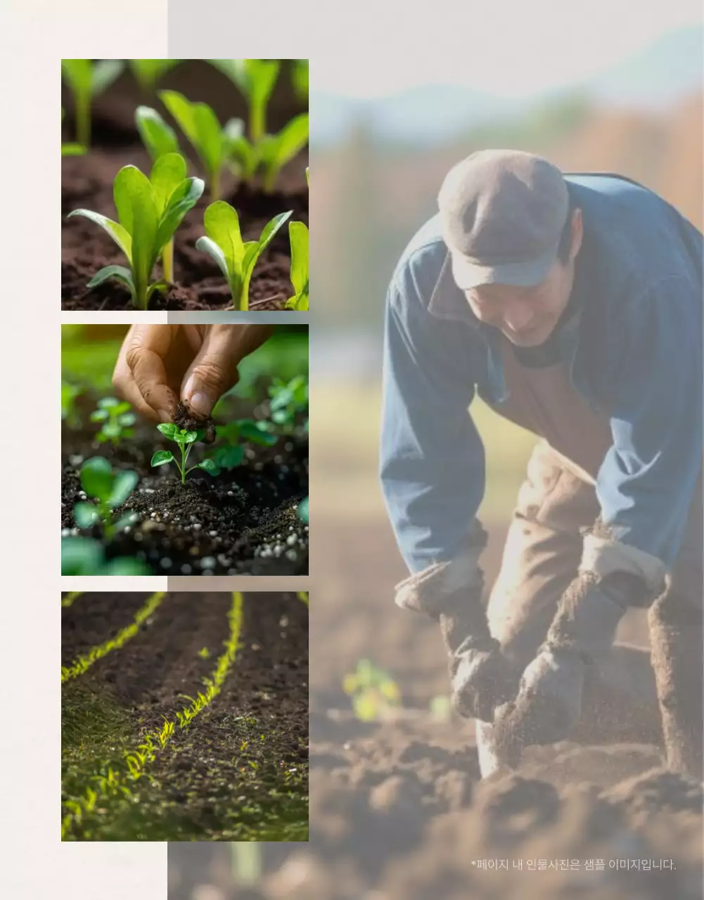 초록과 아이보리색의 전통적인 추석 과일 선물세트 사진 레이아웃 홍보