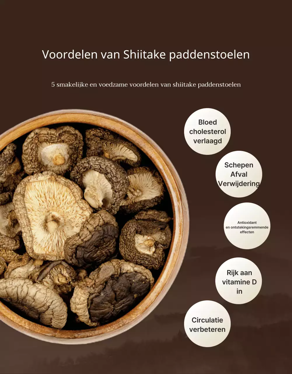 Bruine, nette shiitake champignons ad