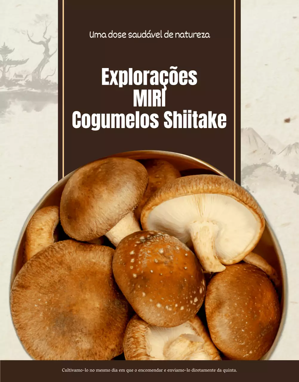 Cogumelos shiitake castanhos e puros ad
