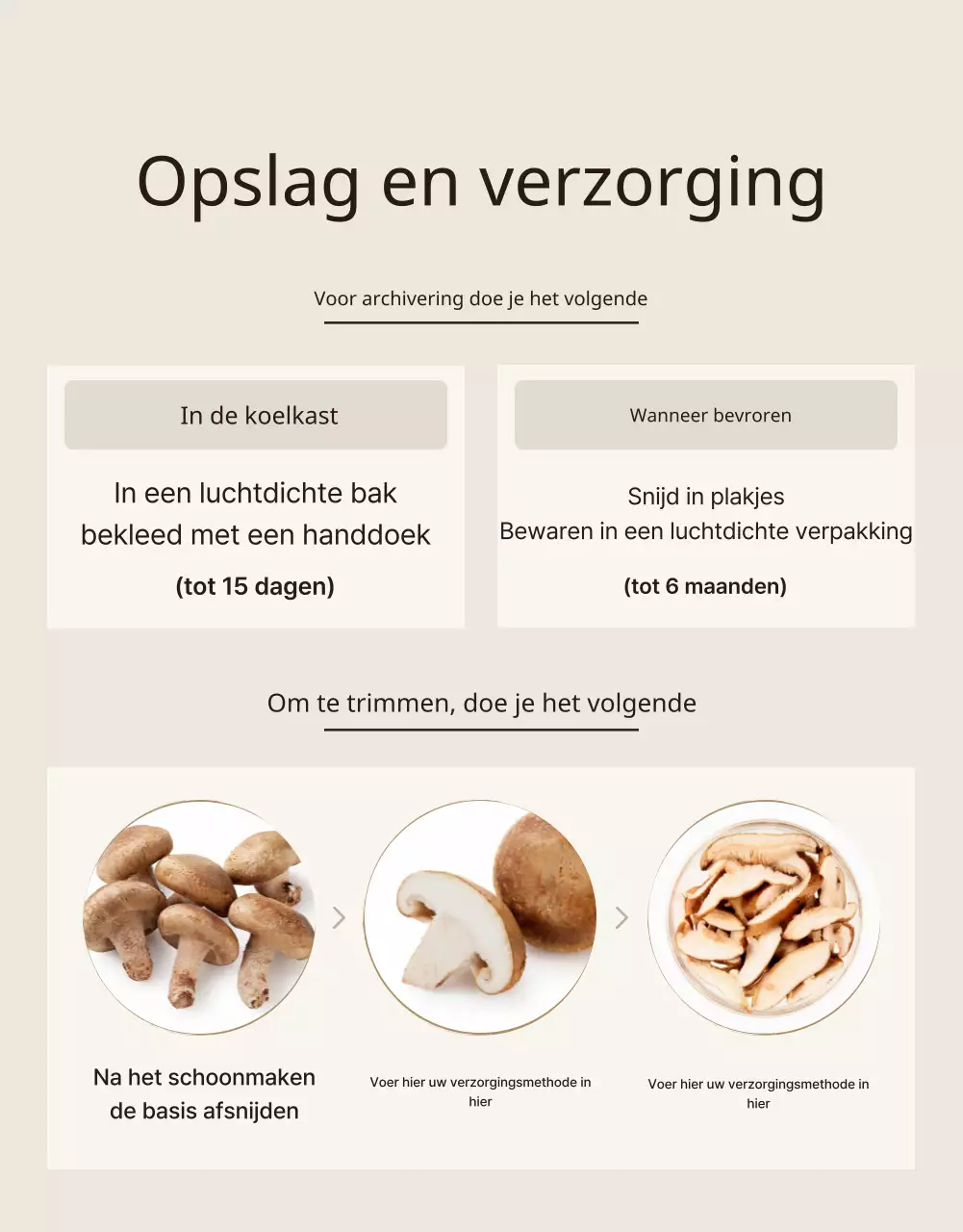 Bruine, nette shiitake champignons ad