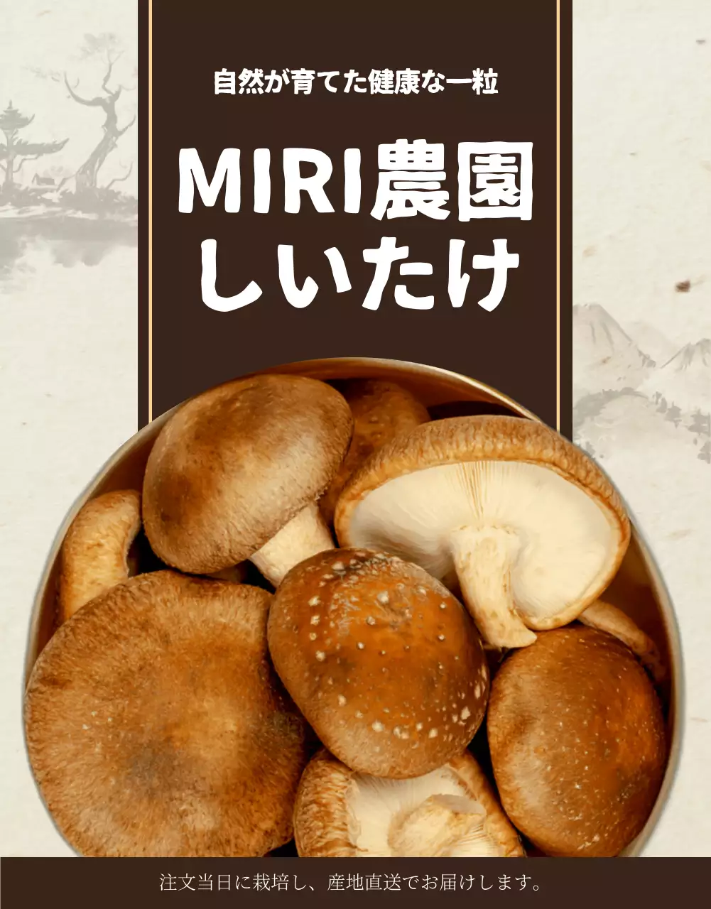 茶色 シンプル しいたけ パンフレット 詳細ページ