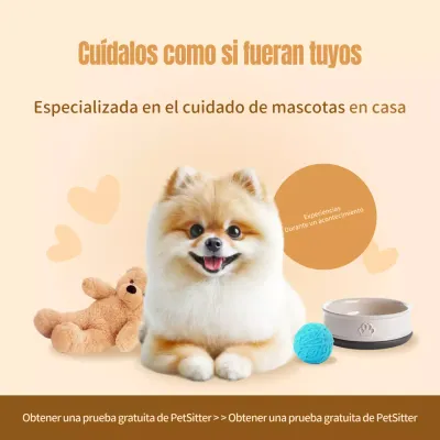 Un anuncio limpio y beige sobre el cuidado de mascotas