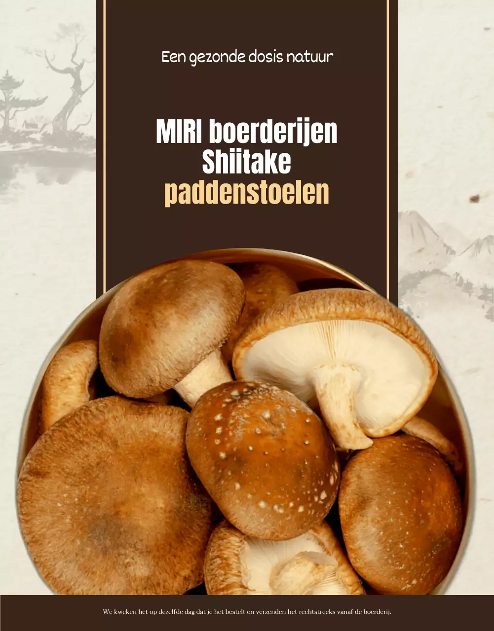 Bruine, nette shiitake champignons ad