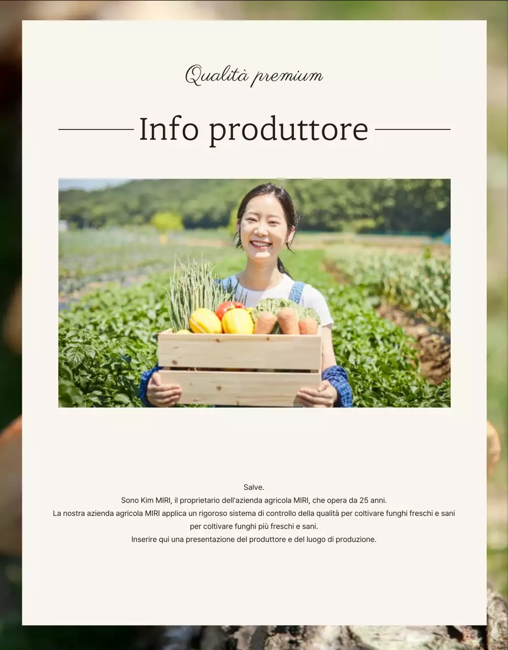 Funghi shiitake marroni e ordinati ad