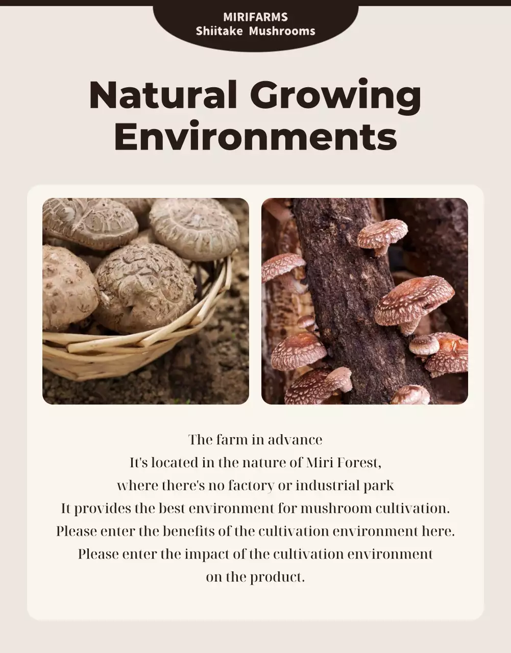 Brown Rustic Mushrooms Advertisement Poster