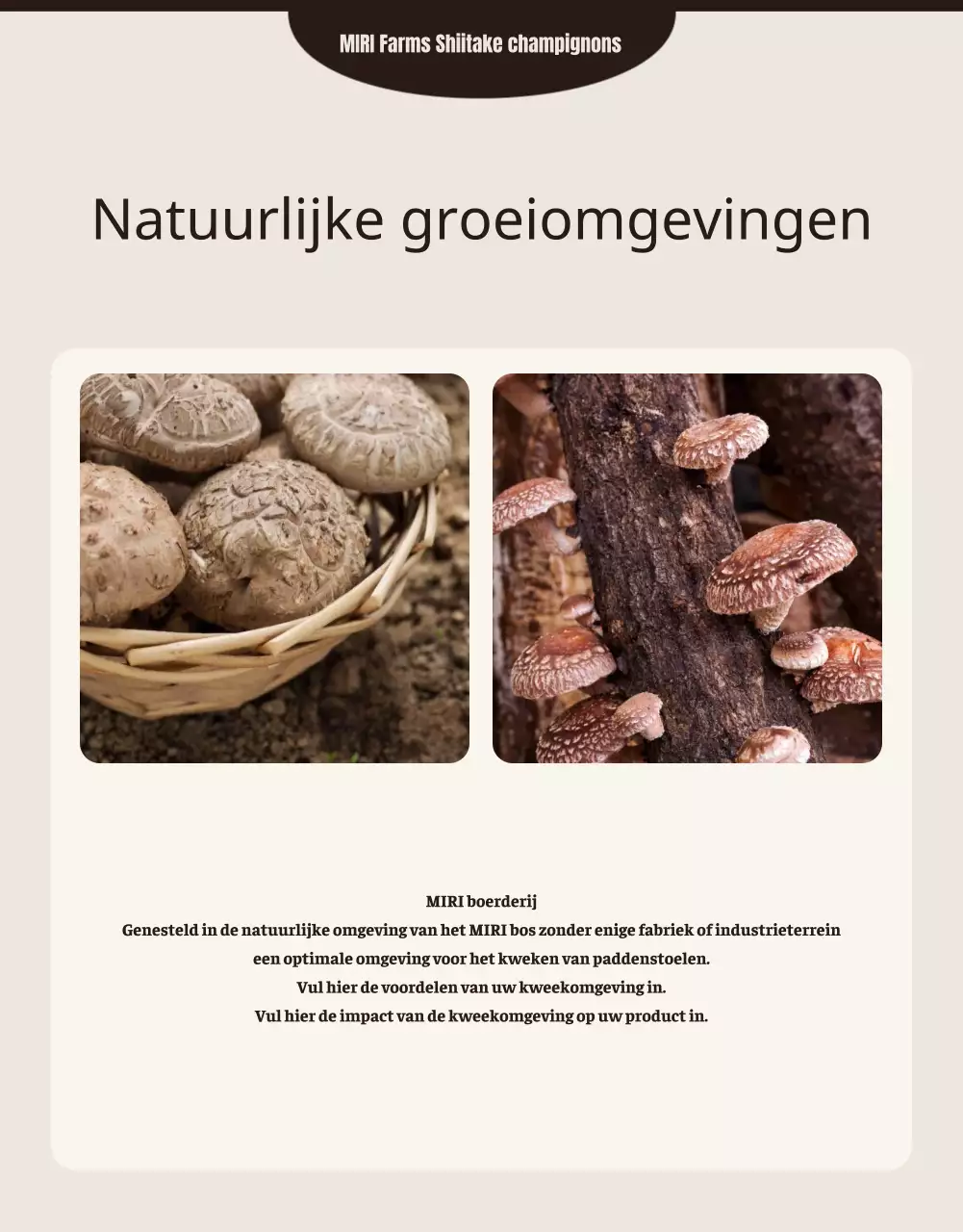 Bruine, nette shiitake champignons ad