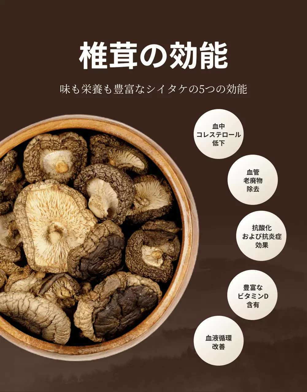 茶色 シンプル しいたけ パンフレット 詳細ページ