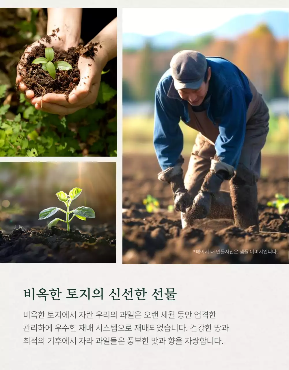 초록과 아이보리색의 전통적인 추석 과일 선물세트 사진 레이아웃 홍보