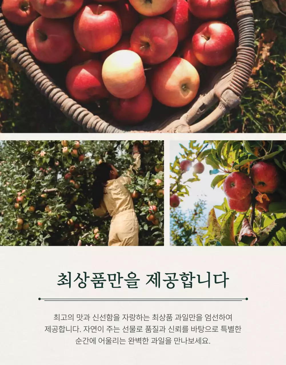 초록과 아이보리색의 전통적인 추석 과일 선물세트 사진 레이아웃 홍보