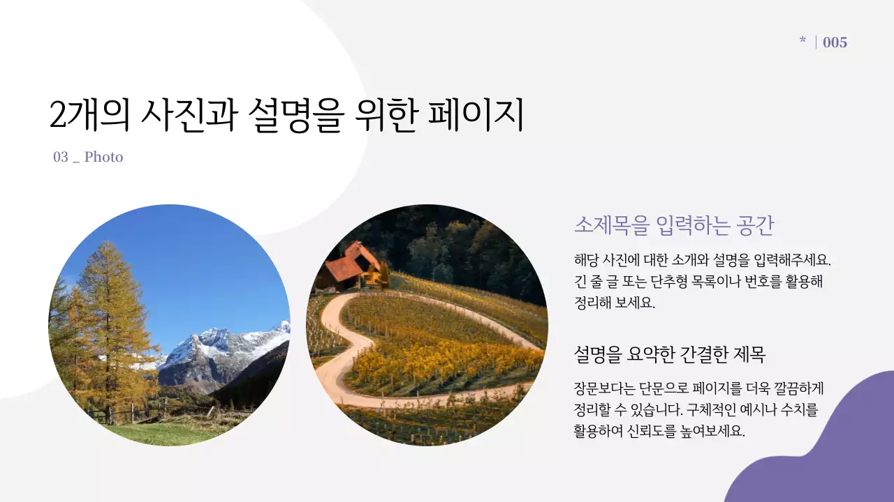 연보라 심플 안내 프레젠테이션