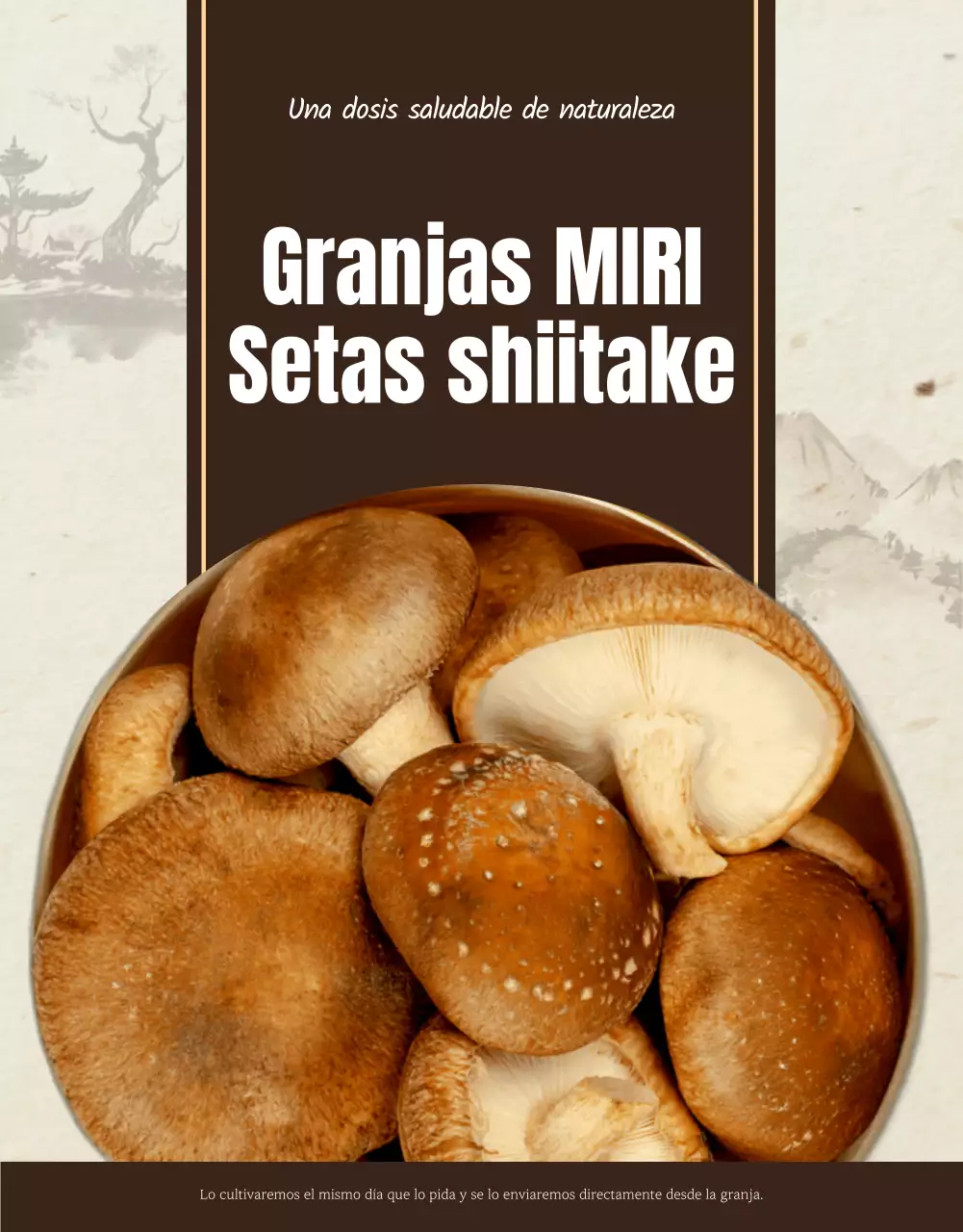 Setas shiitake marrones y ordenadas ad