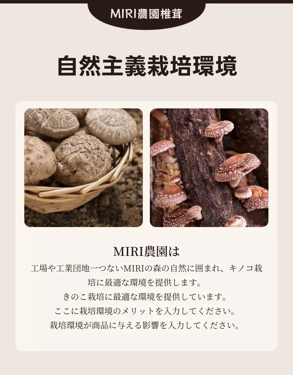 茶色 シンプル しいたけ パンフレット 詳細ページ