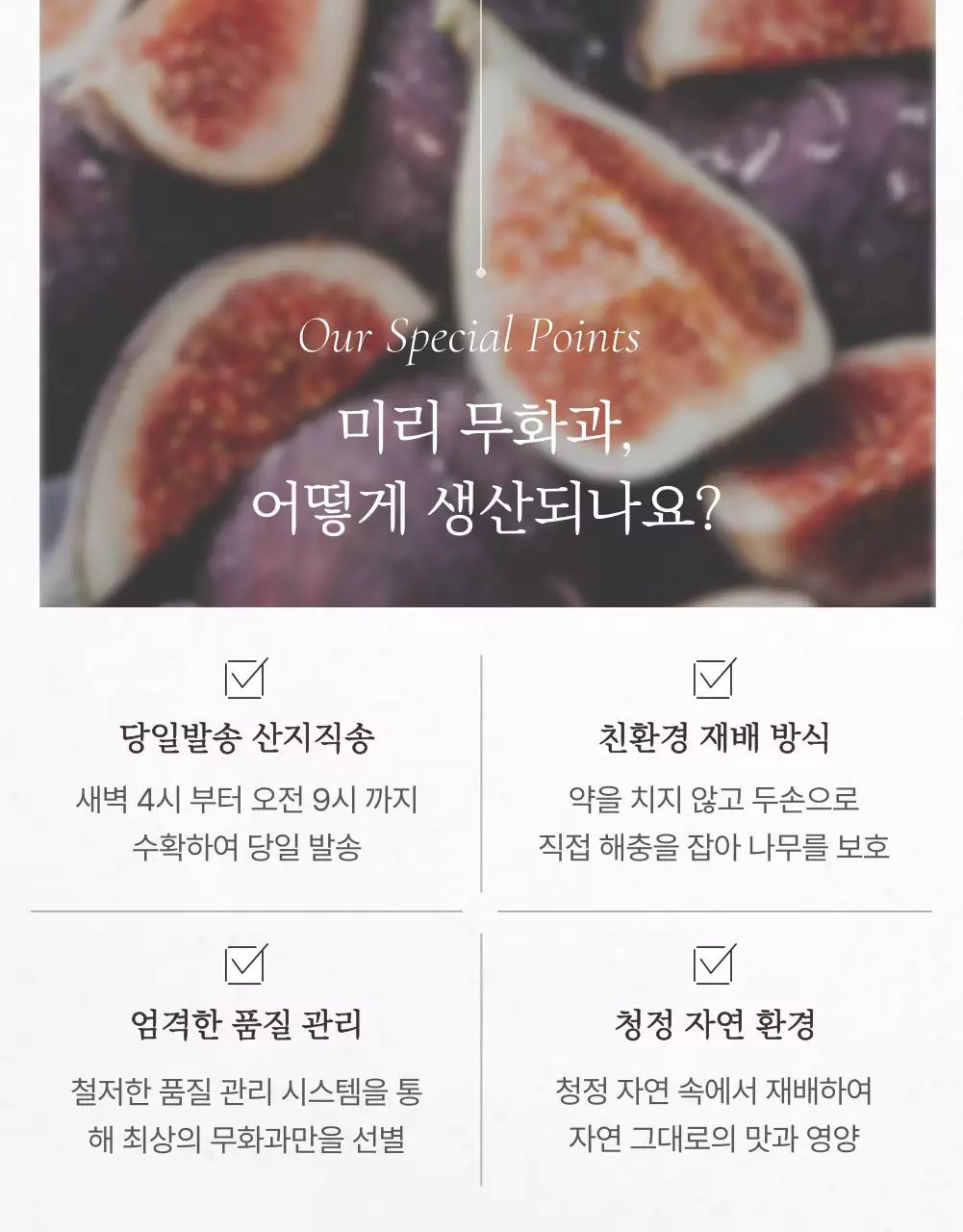 흰색 심플 과일 무화과