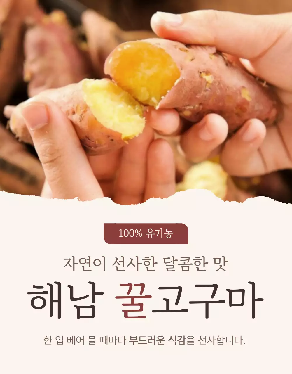 노랑과 갈색의 깔끔한 고구마 판매 홍보