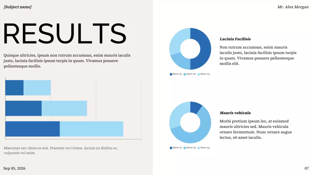 Colorful Minimal Project Presentation
