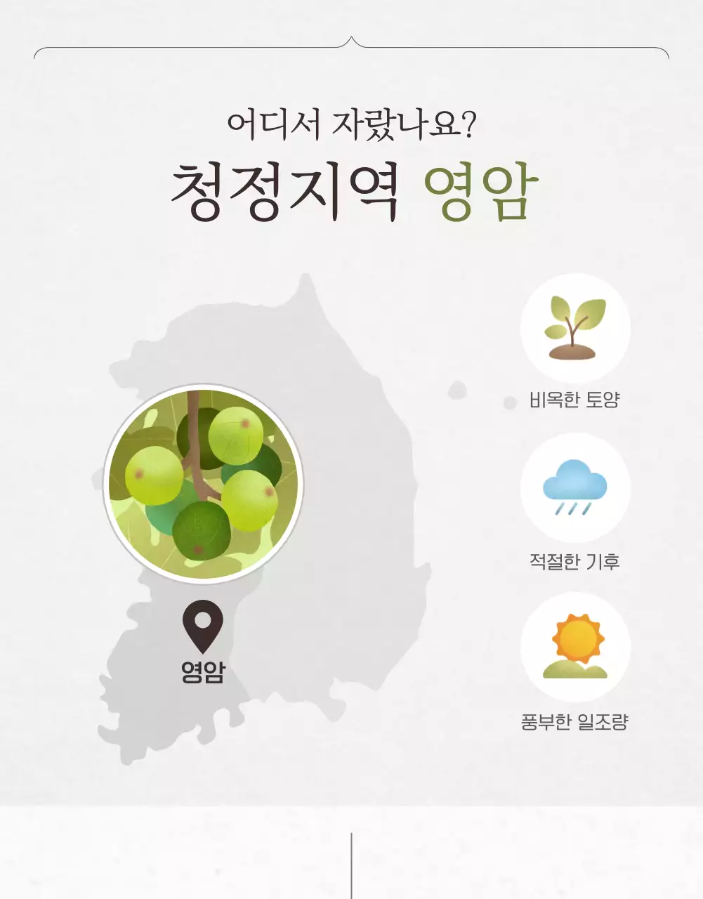 흰색과 회색의 세련된 무화과 판매 홍보