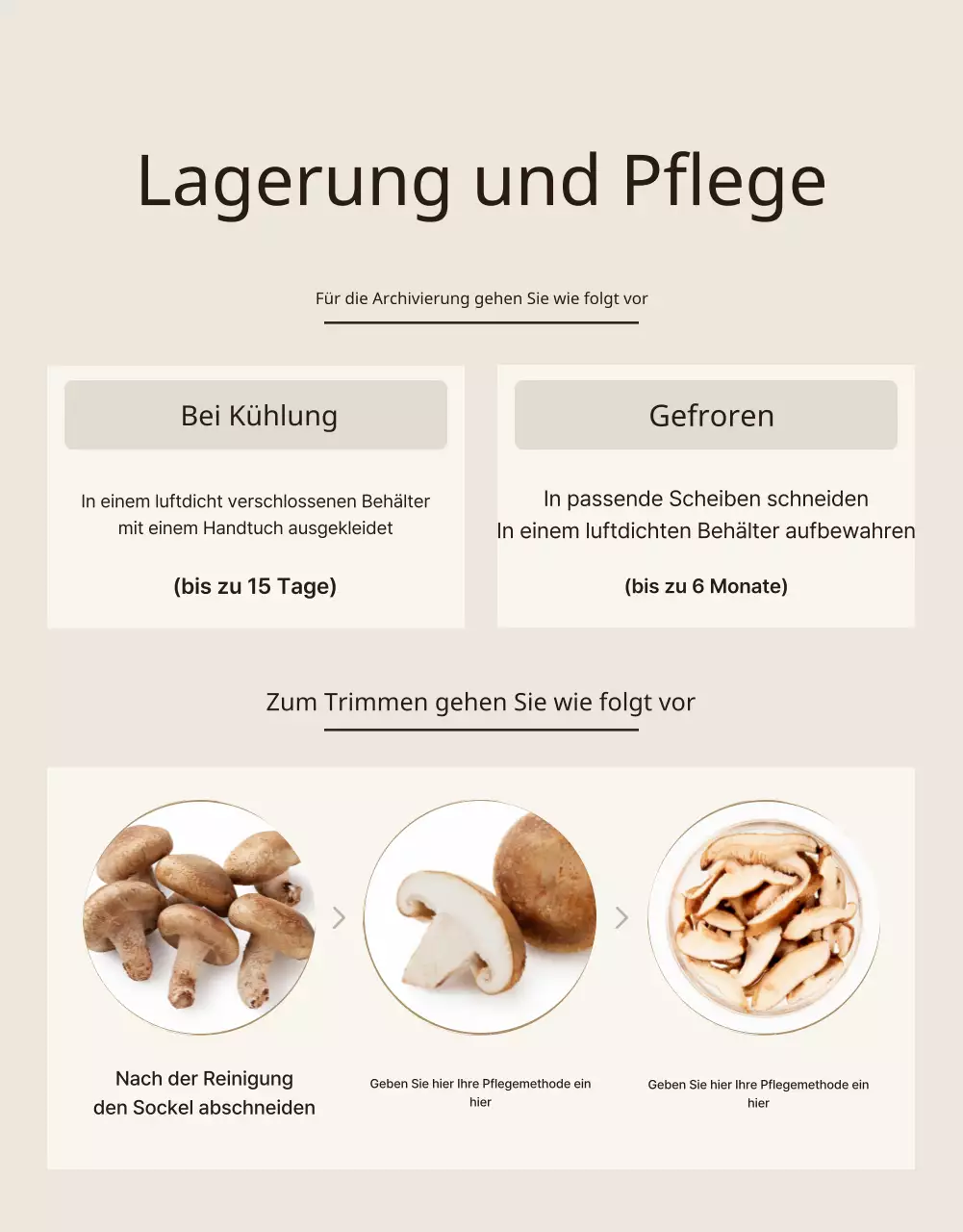 Braune, saubere Shiitake-Pilze anzeigen