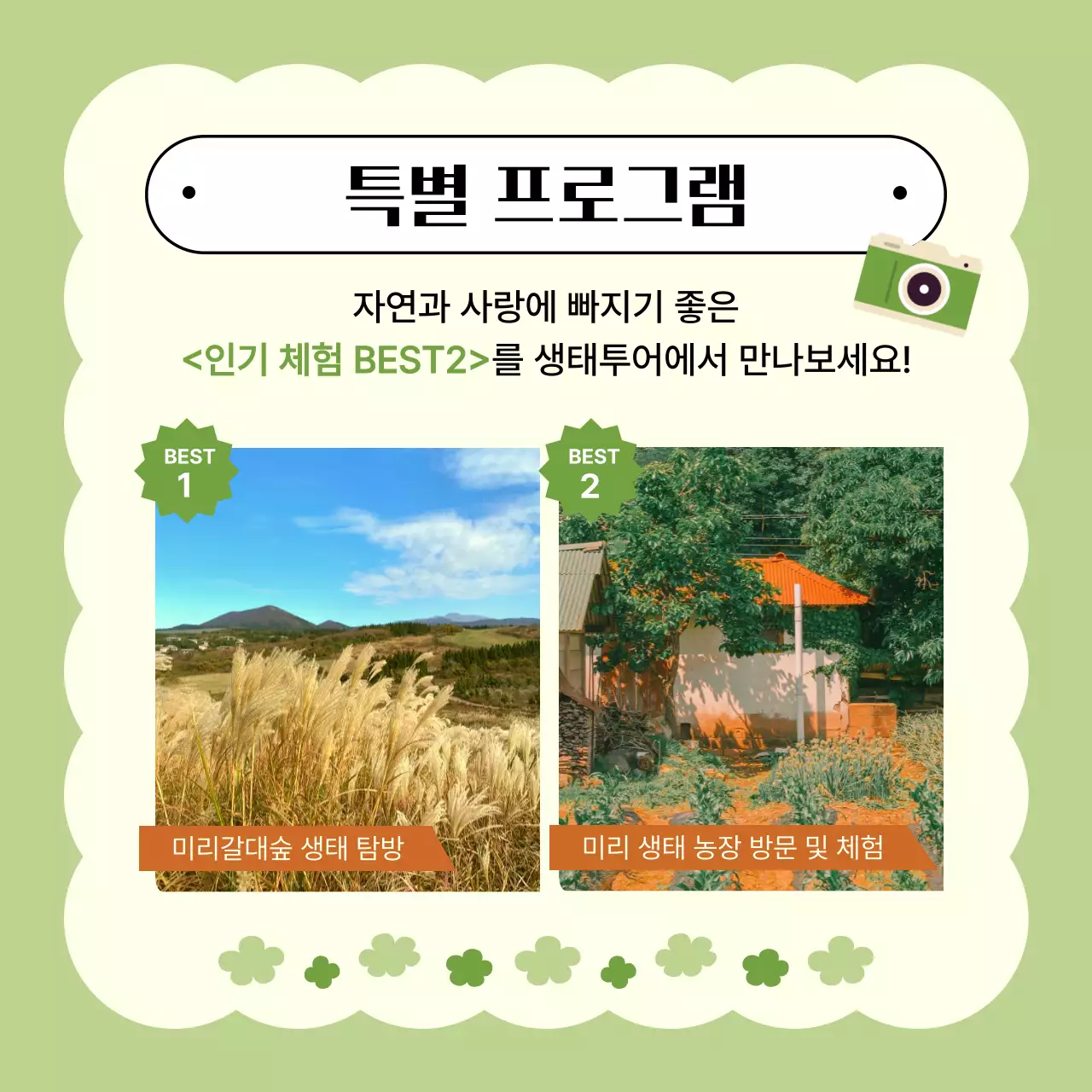 연두의 아기자기한 생태 투어 홍보