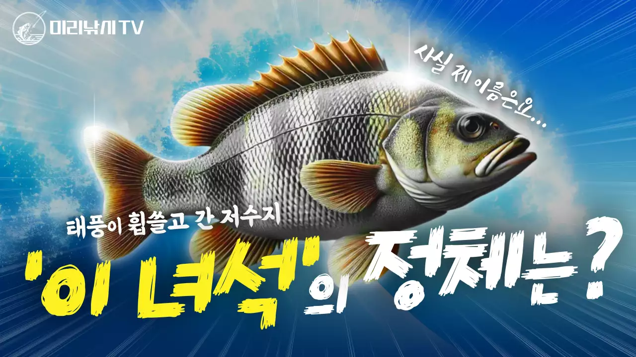 노랑과 파랑의 강조된 낚시 브이로그 동영상