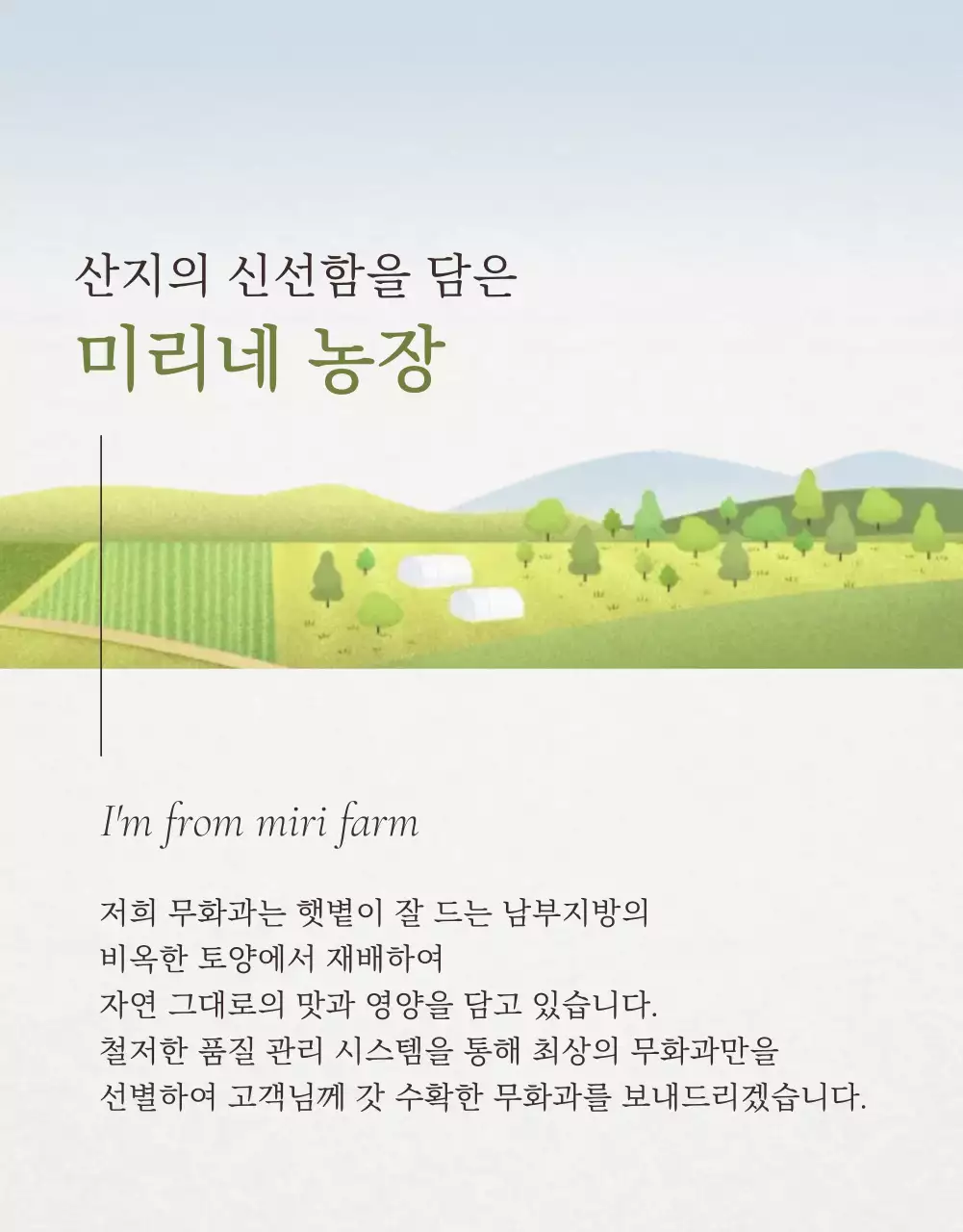 흰색과 회색의 세련된 무화과 판매 홍보