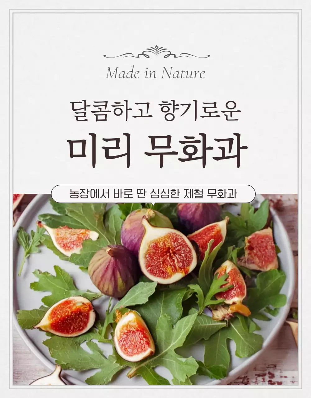 흰색 심플 과일 무화과