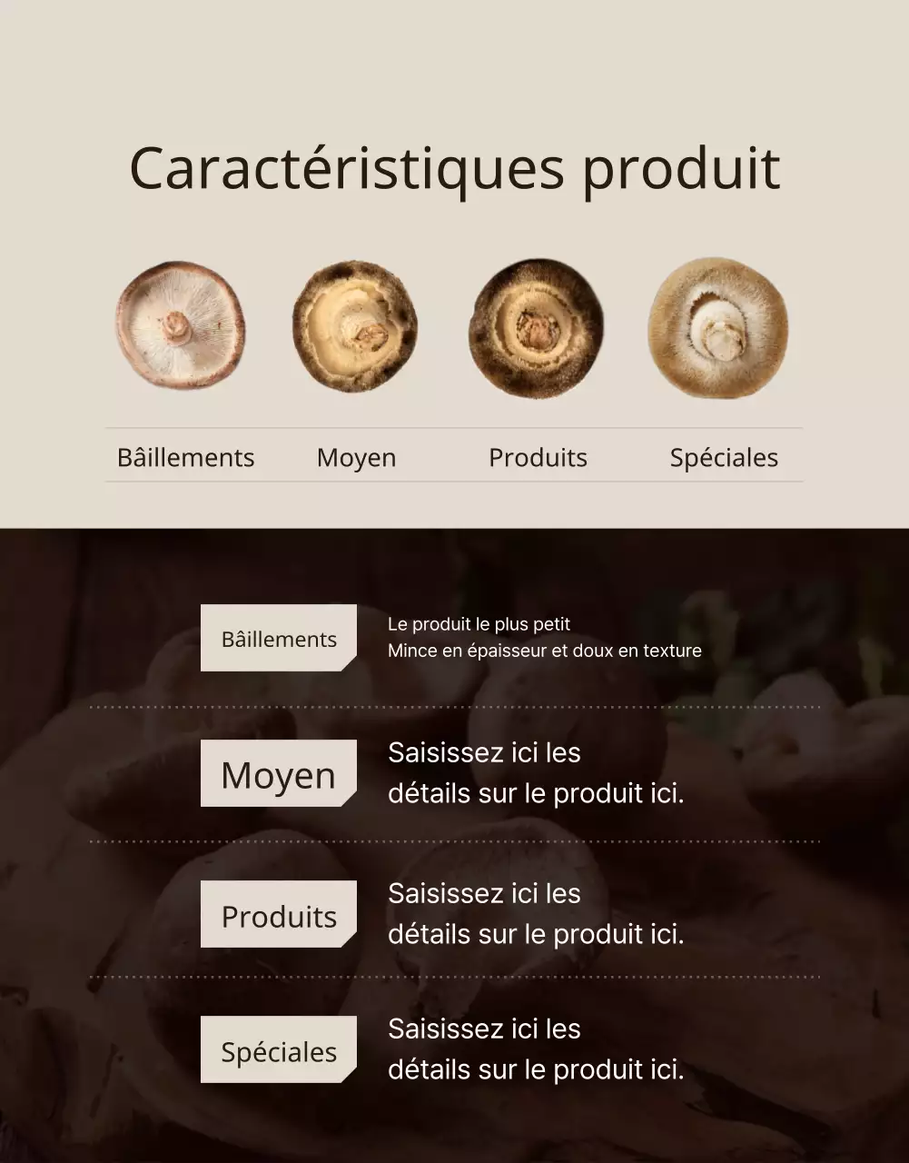 Champignons shiitake bruns et soignés ad