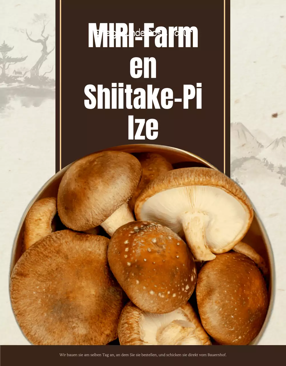 Braune, saubere Shiitake-Pilze anzeigen