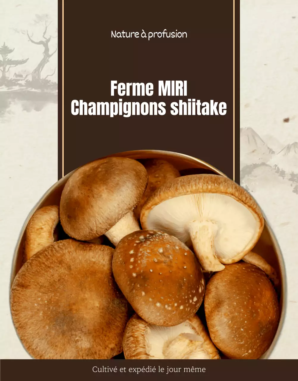 Champignons shiitake bruns et soignés ad