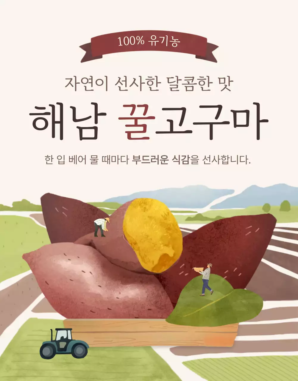 노랑과 갈색의 아기자기한 고구마 판매 홍보