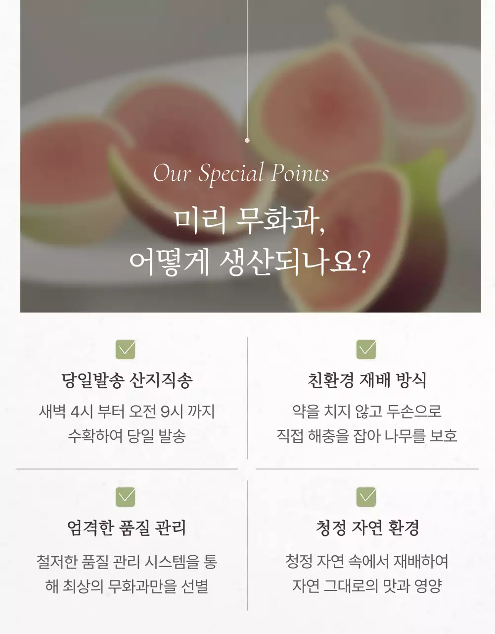 흰색과 회색의 세련된 무화과 판매 홍보