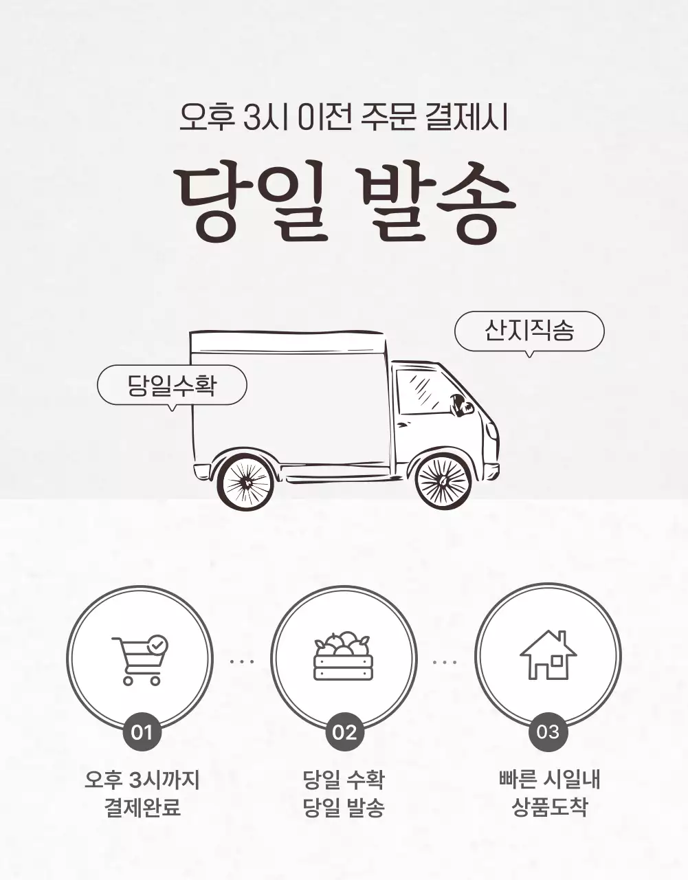 흰색 심플 과일 무화과