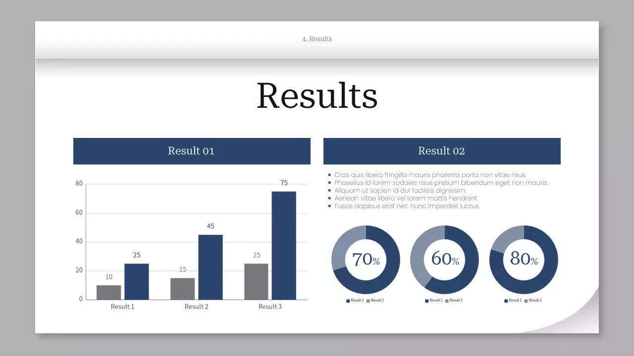 White Professional Project Overview Presentation