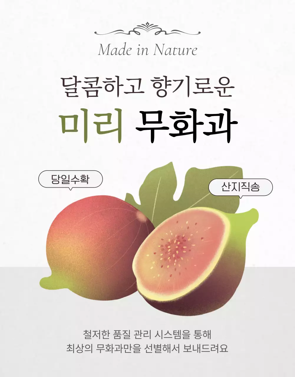 흰색과 회색의 세련된 무화과 판매 홍보