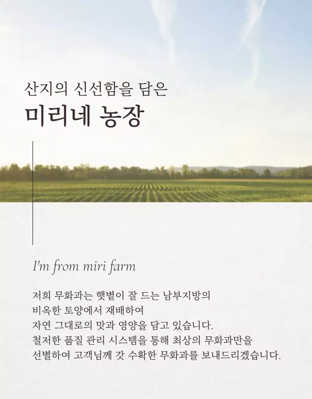 흰색 심플 과일 무화과