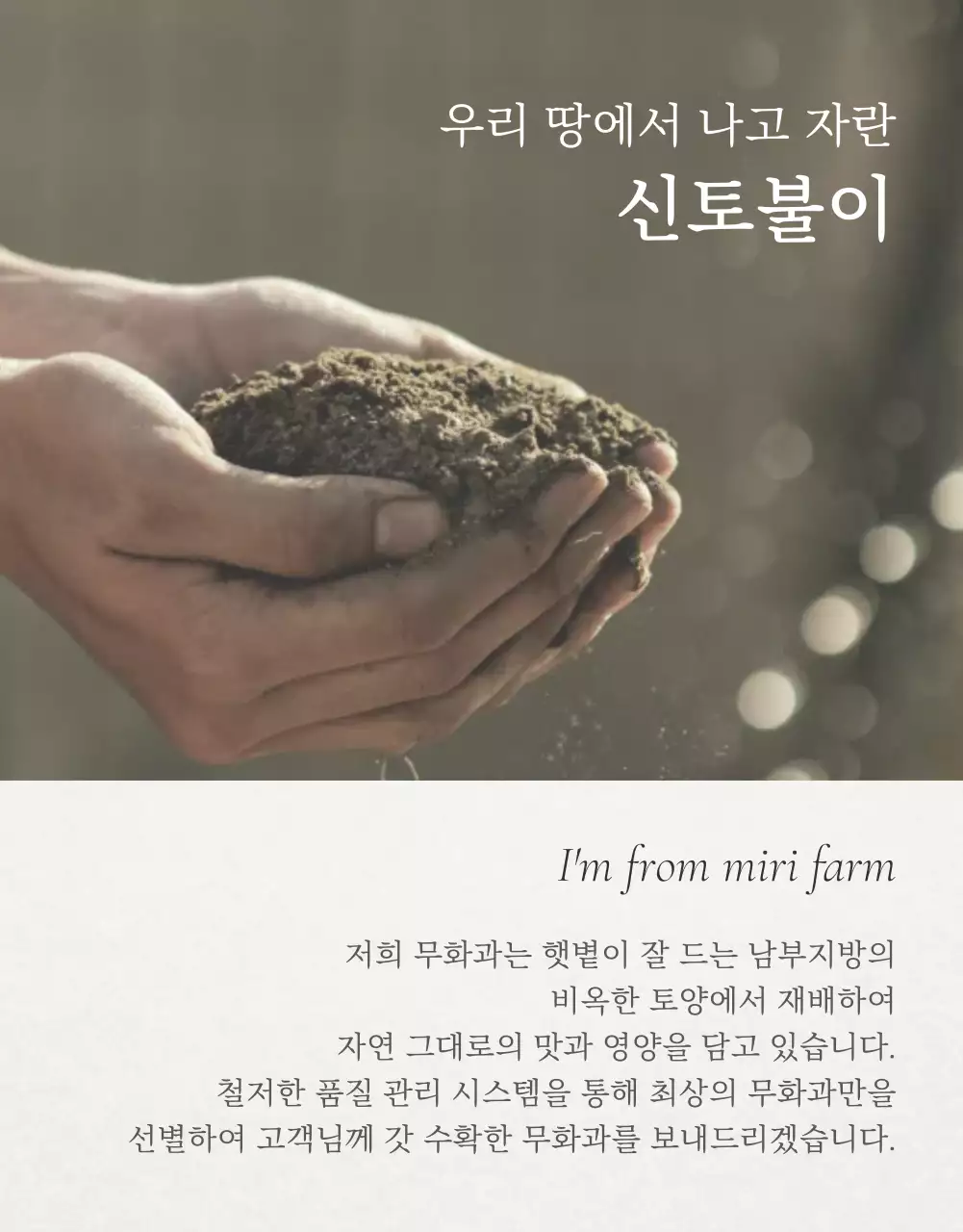 흰색 심플 과일 무화과