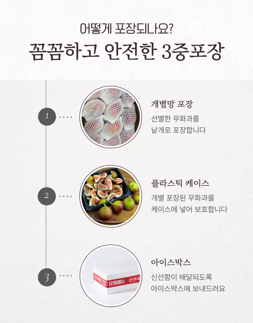 흰색 심플 과일 무화과