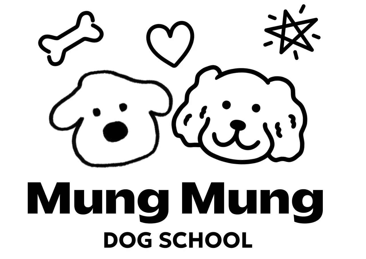 아기자기한 캐릭터 동물 학교 홍보