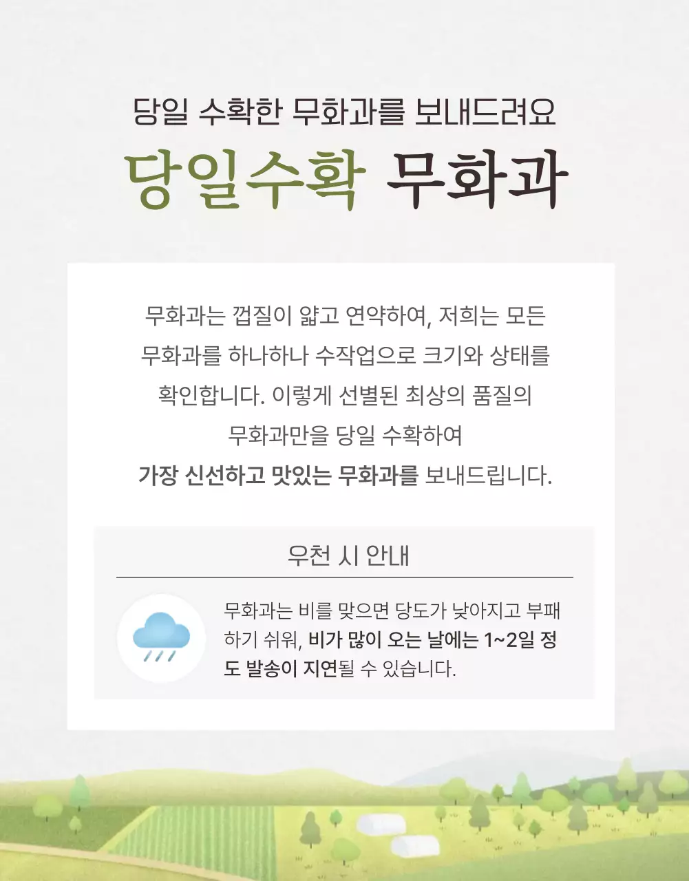 흰색과 회색의 세련된 무화과 판매 홍보