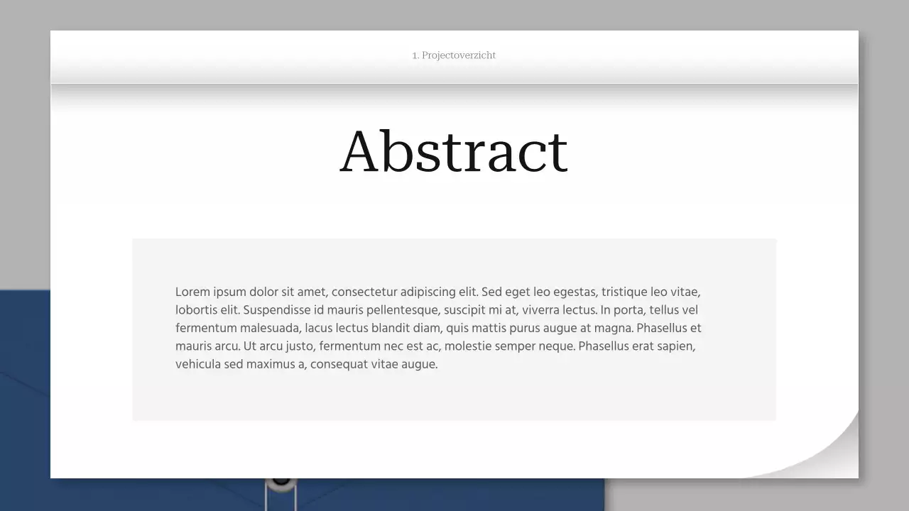 grijs professioneel projectdocument
