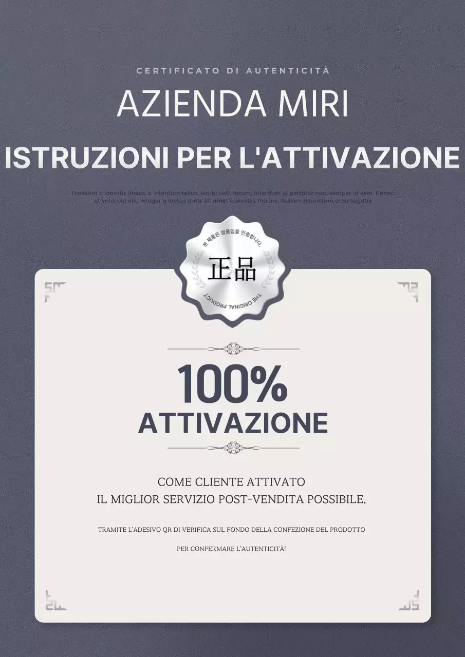 Guida all'autenticazione grey clean