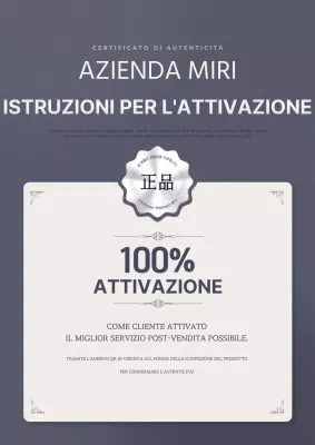 Guida all'autenticazione grey clean