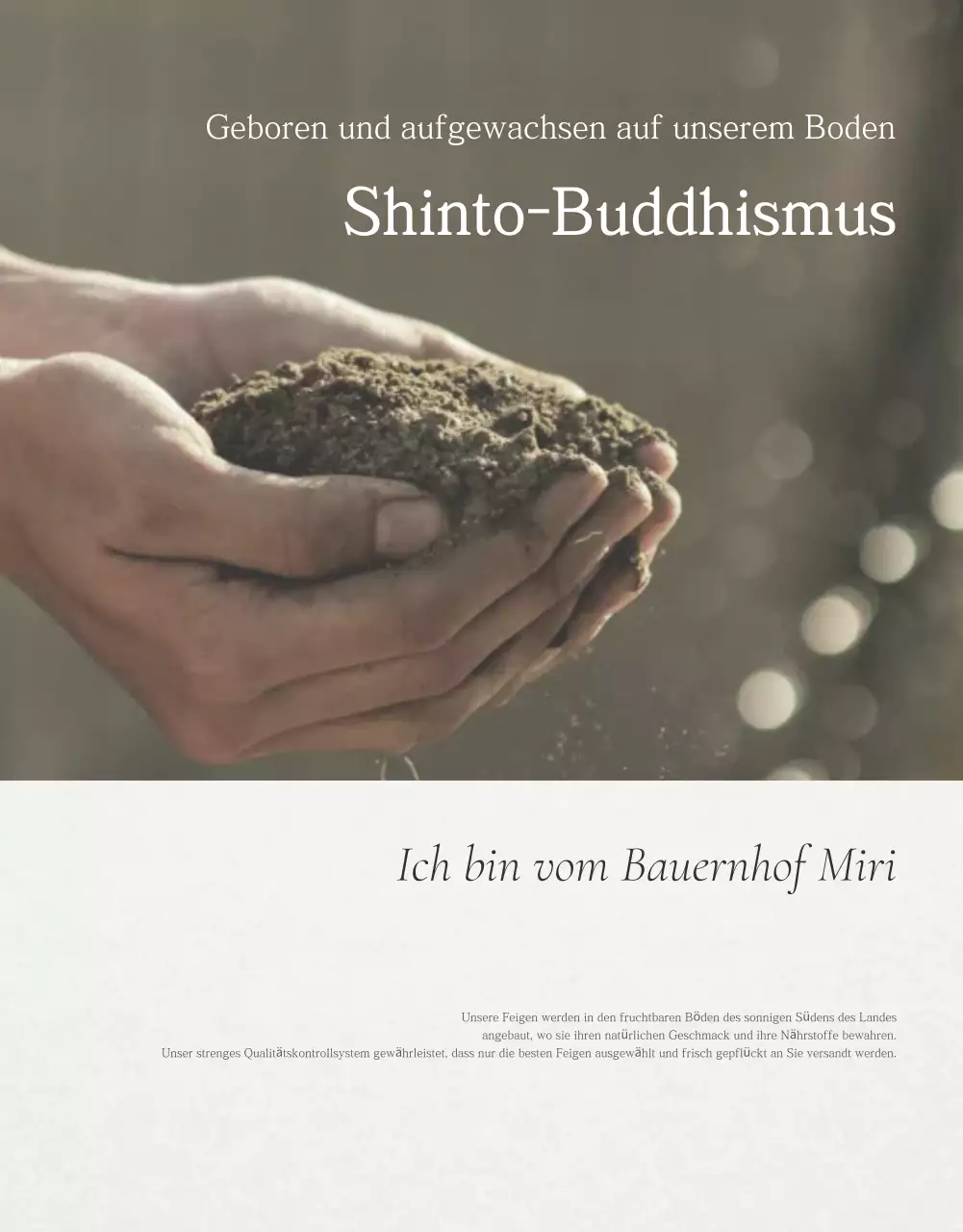 Weiße einfache Fruchtfeigen