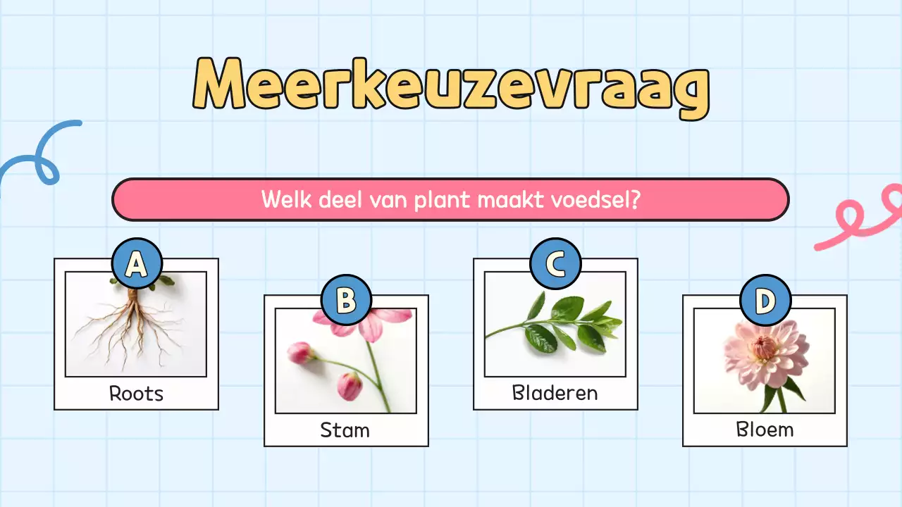 Gele quiz voor studentenpresentatie op school