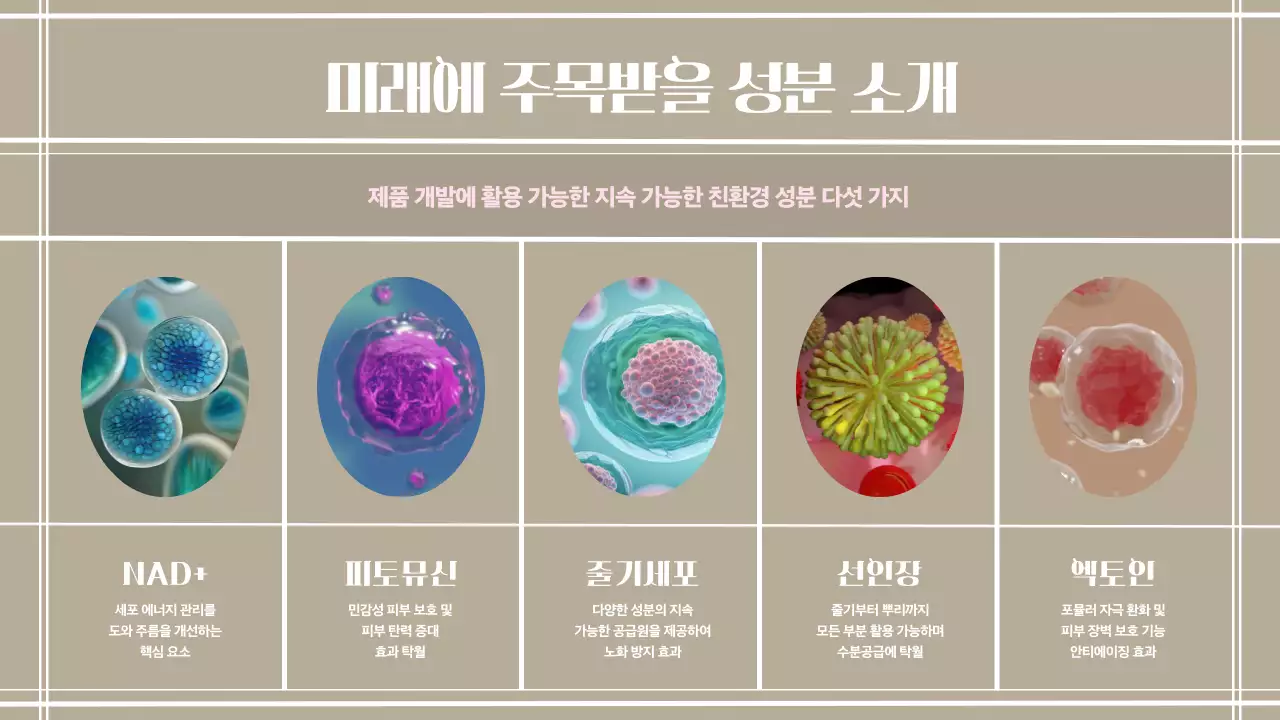 노랑과 베이지색의 따뜻한 뷰티트렌드 보고서