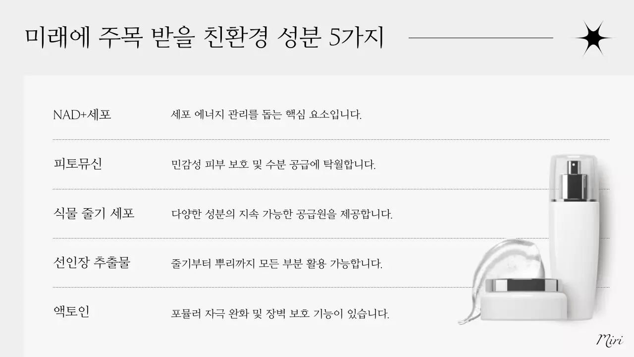 회색 모던 뷰티 보고서