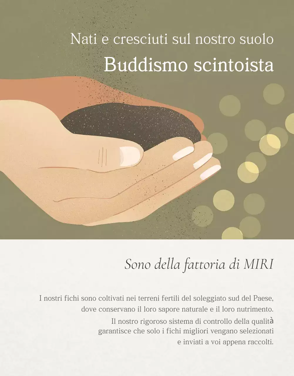 Promozione delle vendite di fichi eleganti in bianco e grigio