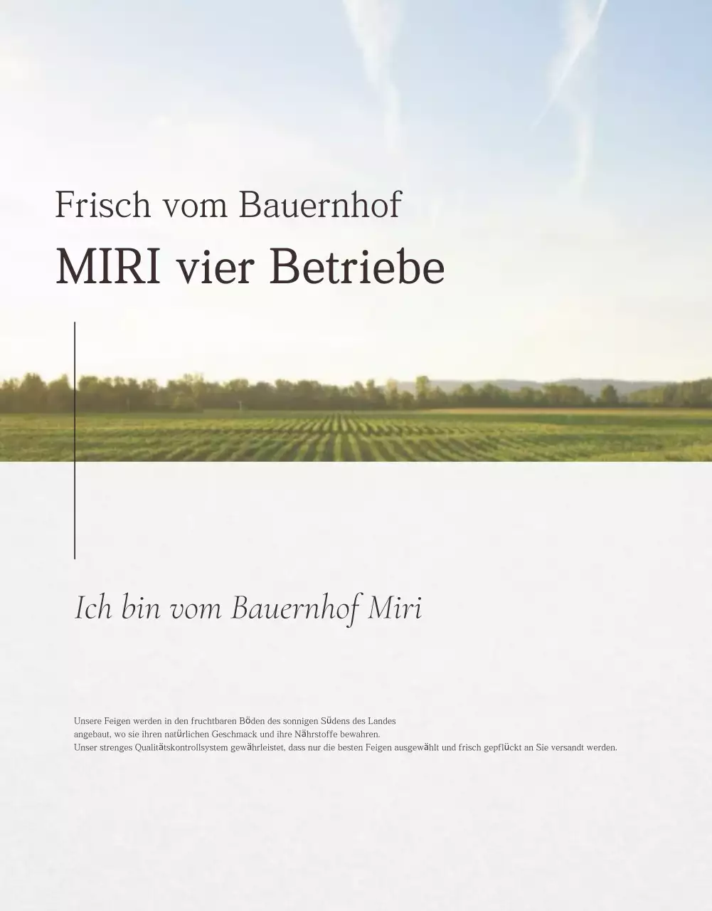 Weiße einfache Fruchtfeigen